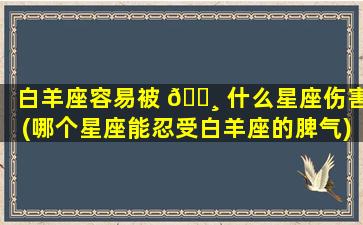 白羊座容易被 🌸 什么星座伤害(哪个星座能忍受白羊座的脾气)